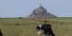 Mont_Saint-Michel_02