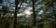 2021-03_-_Briançon_-_Jour_1_-_Chemin_des_fontaines_-_007