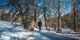 2021-03_-_Briançon_-_Jour_2_-_Vallée_de_la_Clarée_-_Refuge_du_buffère_-_045