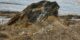 2021-03_-_Briançon_-_Jour_5_-_Villar-d'Arêne_-_Lac_du_Pontet_-_044